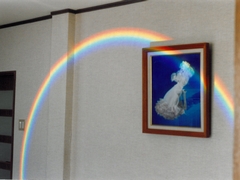 my rainbow003